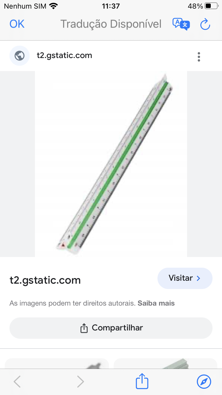 Escala em ABS com 30 cm